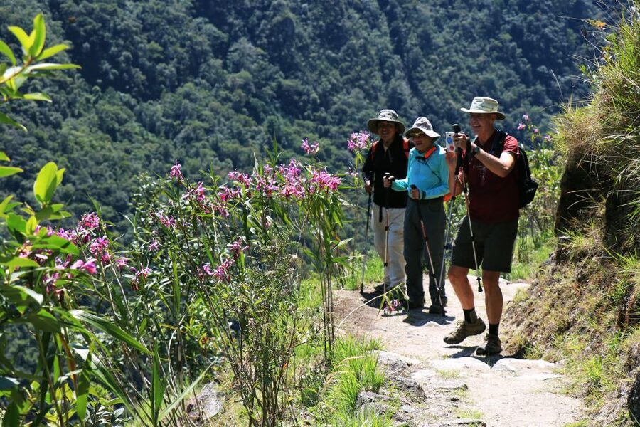 Cusco: Machu Picchu 2-Day Inca Trail with Panoramic Train - Fresh breakfast and lunch in the mountains