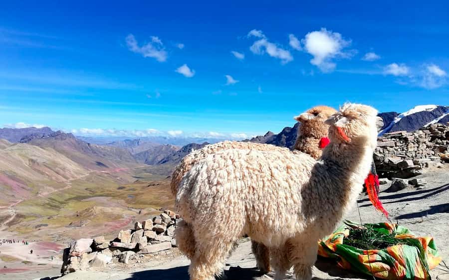 Cusco: Mountain of 7 colors Vinicunca and the Red Valley (optional) - Should you add the Red Valley?