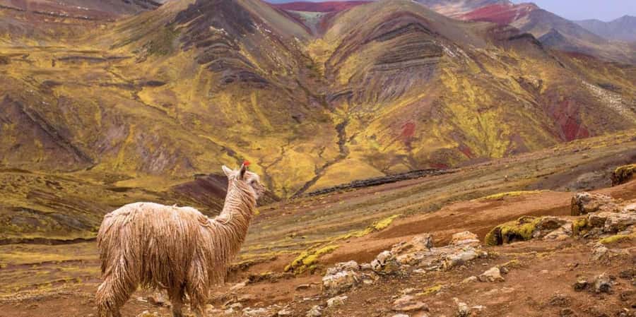 Cusco : Palcoyo - Rainbow Mountain Hidden Sister - Leaving Cusco Before Sunrise