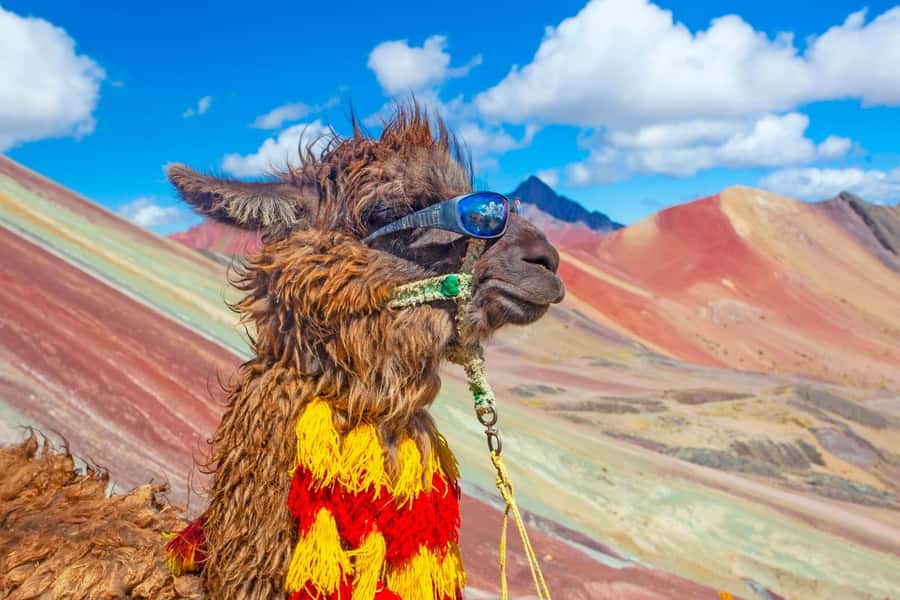 Cusco : Rainbow Mountain and Red Valley Tour - Key points to know before you book