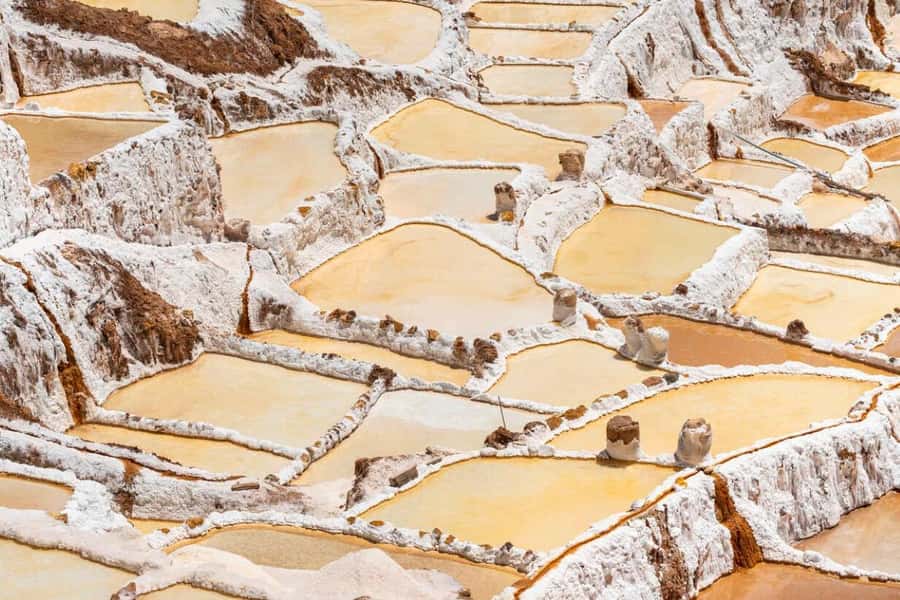 Cusco: Sacred Valley, Pisac, Ollantaytambo, Salt Mines Moray - Transport, pace, and physical effort
