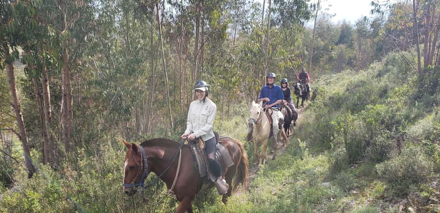Cusco: Sacsayhuaman Guided Tour and 1-Hour Horseback Ride - Sacsayhuaman and the great Inca stonework