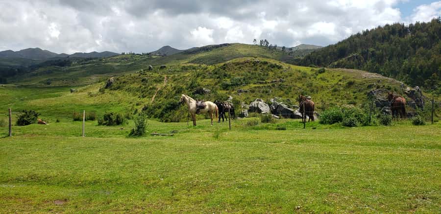 Cusco: Sacsayhuaman Guided Tour and 1-Hour Horseback Ride - What the $90 price really covers