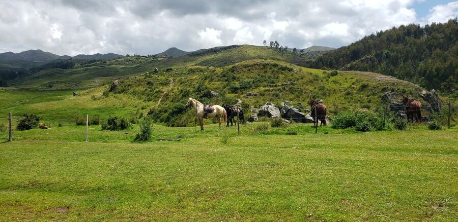 Cusco: Sacsayhuaman Guided Tour and 1-Hour Horseback Ride - Who should book this experience
