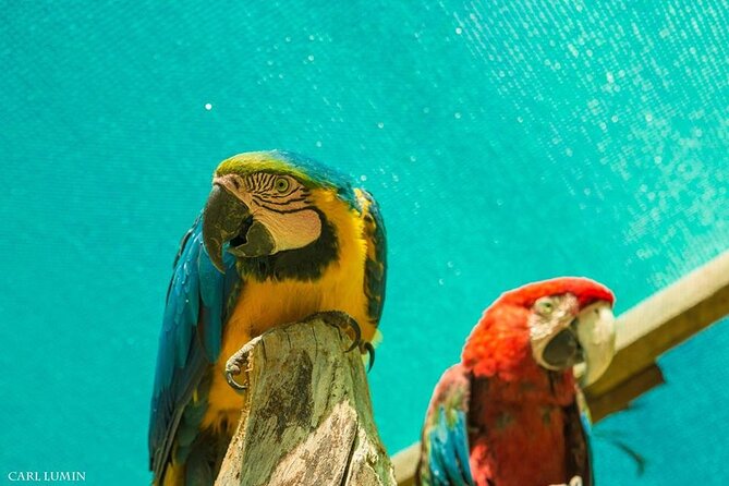 Cusco Santuario de Animales Rescatados en Cusco - The sanctuary’s education work