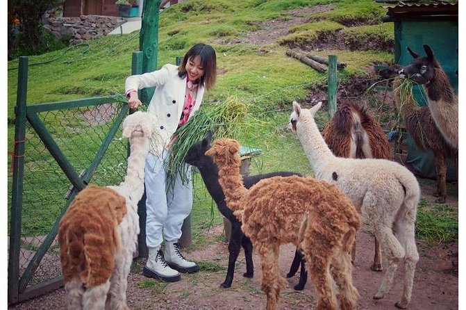 Cusco Santuario de Animales Rescatados en Cusco - How your money supports the project