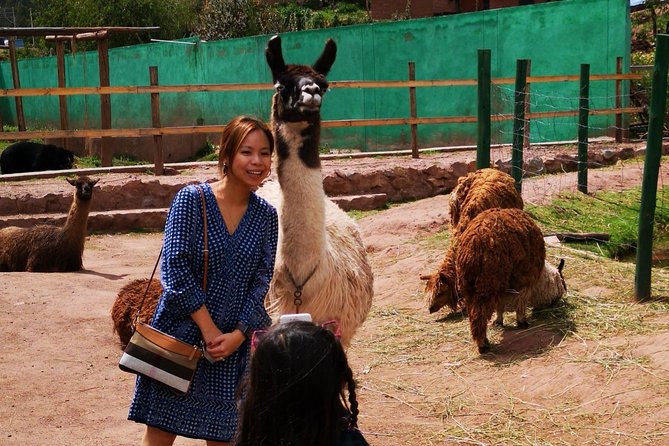 Cusco Santuario de Animales Rescatados en Cusco - The private format and group size