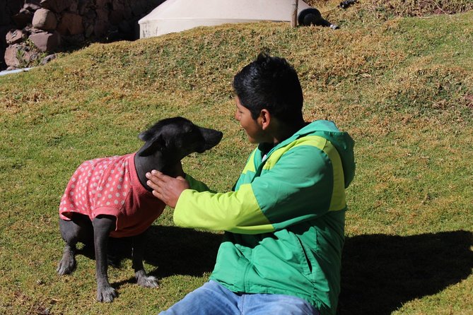 Cusco Santuario de Animales Rescatados en Cusco - Who will enjoy this Cusco activity