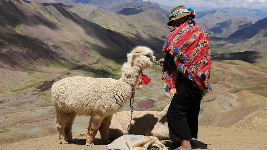 Cuzco: Rainbow Mountain Excursion - Who will enjoy this tour most?
