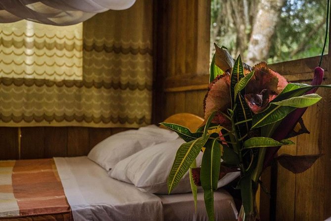 Eco Jungle 3 Days - 2 Nights - Day two: Sandoval Lake is the main event