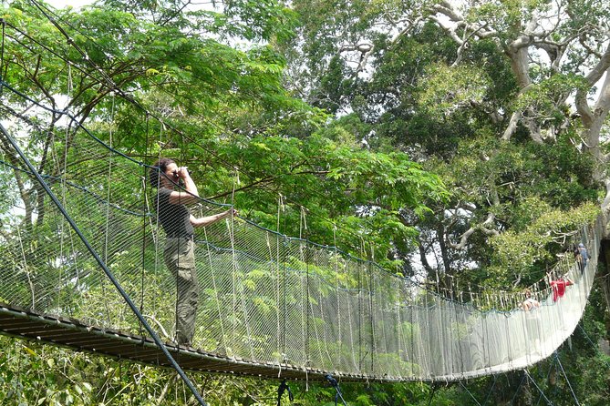 Eco Jungle 3 Days - 2 Nights - Is $240 a fair price?
