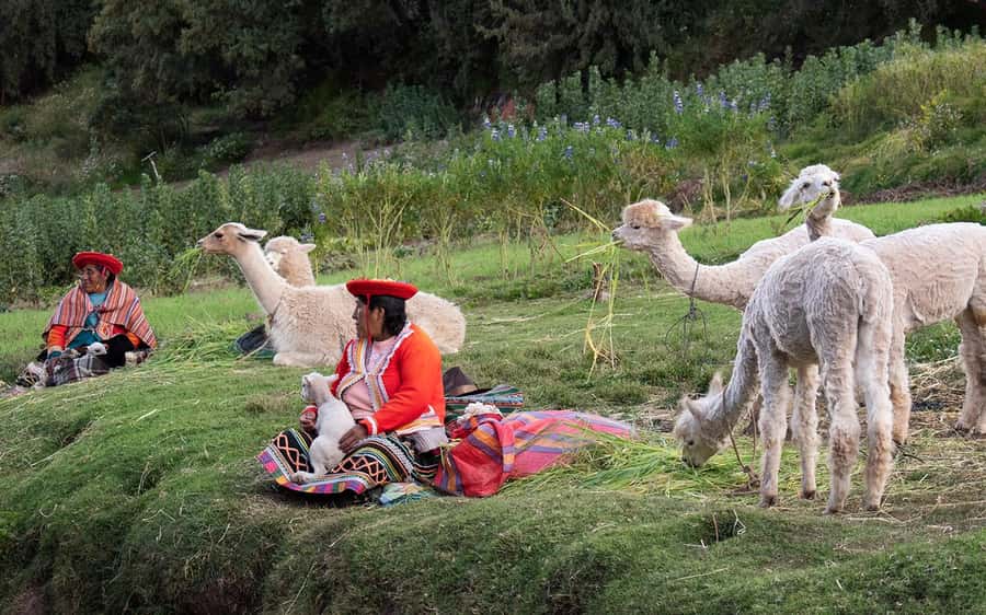 ECONOMIC PRIVATE TOUR IN THE CITY OF CUSCO - HALF DAY - What the private vehicle arrangement really means