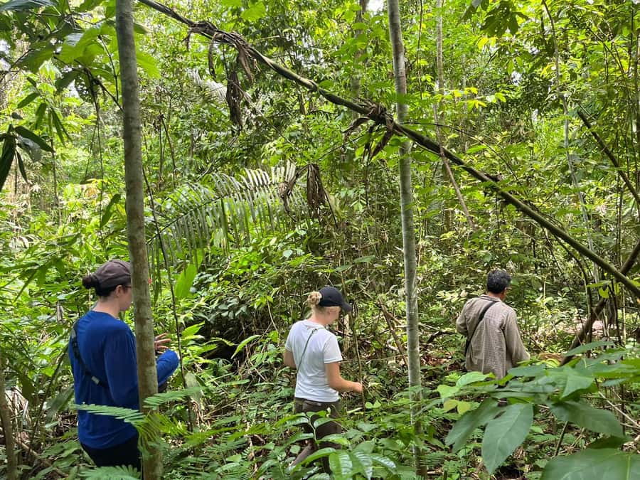 Excursion 2 days/1 nights in the jungle: Tambopata - Who will enjoy this Tambopata trip