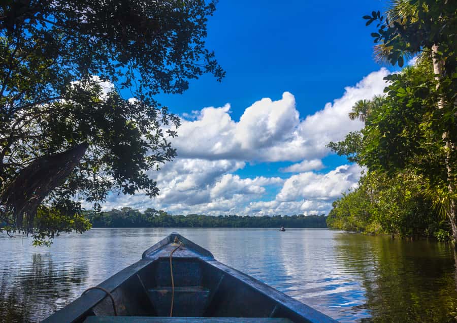 Excursion 3 days/2 nights in the jungle - Key details to know before you book