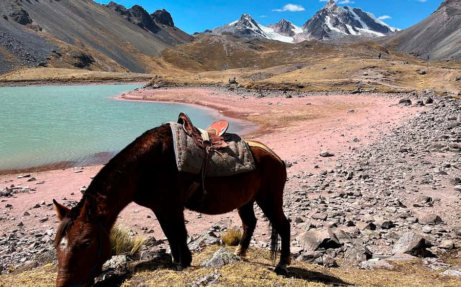 Excursion: Explore in one day the 7 lakes of Ausangate from Cusco - Walking the trail to Ausangate’s lakes