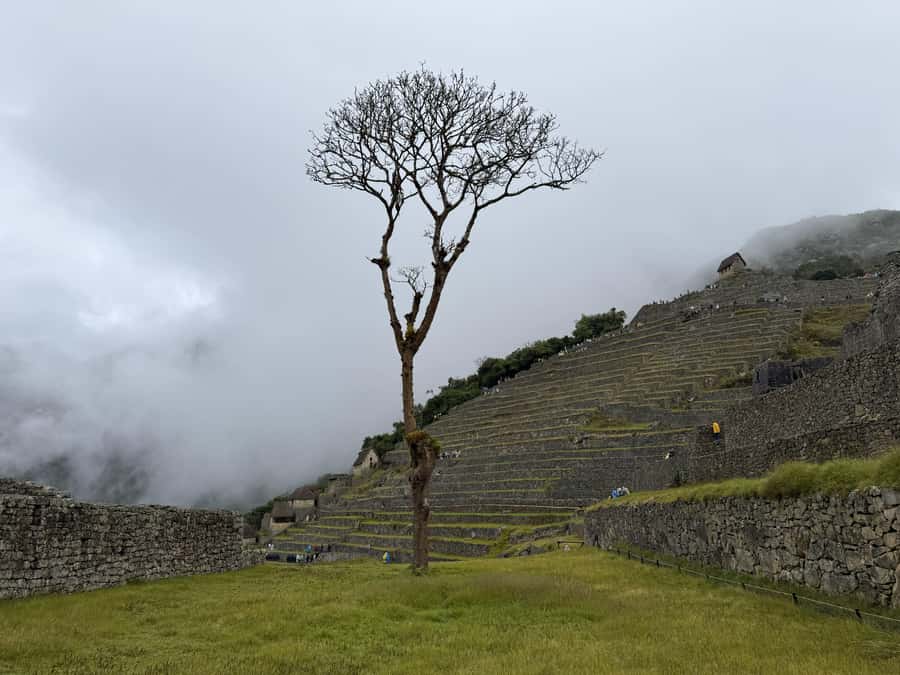 Excursion from Cusco to Machu Picchu + Entrance Tickets Incl - How much free time will you really get?