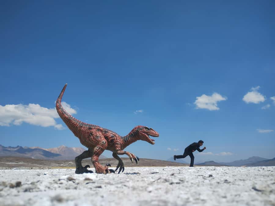 Excursion: Lagoon and National Reserve of Salinas and Aguada Blanca in Arequipa. - Why Salinas Lagoon makes a strong Arequipa day trip