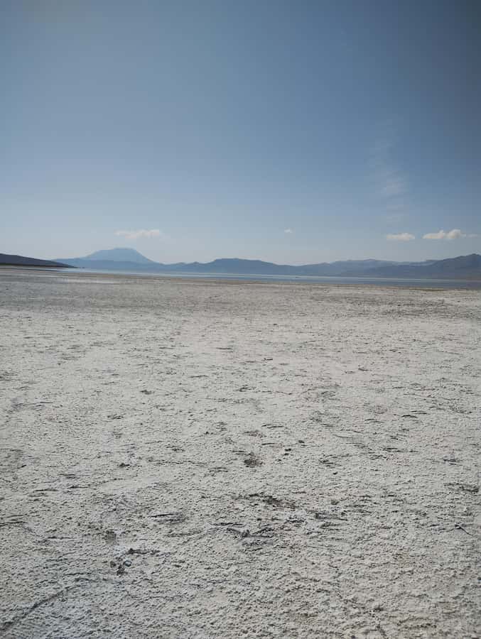 Excursion: Lagoon and National Reserve of Salinas and Aguada Blanca in Arequipa. - Chiguata terraces and the three volcanoes