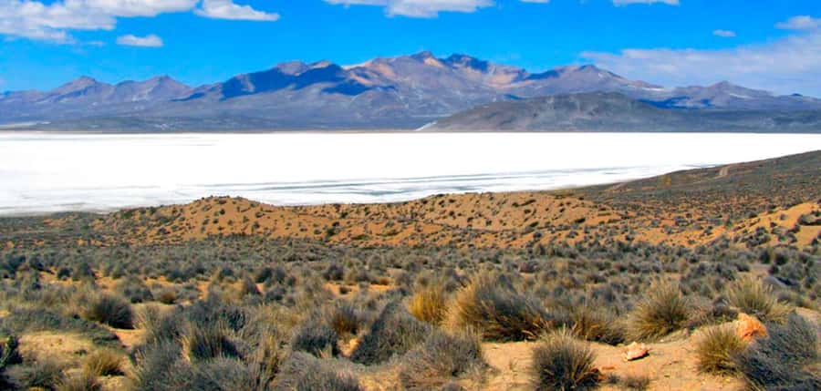 Excursion Salinas Lagoon and National - Why Salinas Lagoon is worth the early start