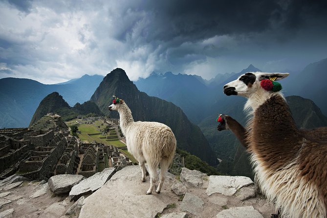 Excursion to MachuPicchu from Cusco with lunch | Private Service| - Ollantaytambo and the Expedition train