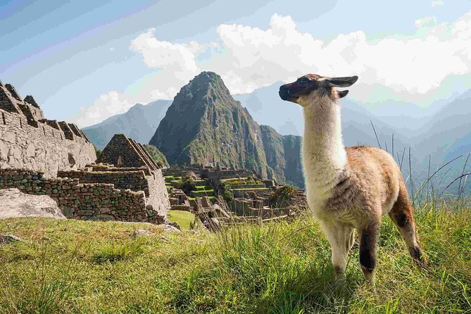 Excursion to MachuPicchu from Cusco with lunch | Private Service| - The long ride back to Cusco