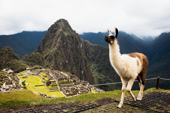 Excursion to MachuPicchu with Train Vistadome Full Day - The long ride home