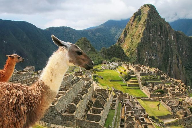Excursion to MachuPicchu with Train Vistadome Full Day - Booking advice and cancellation terms