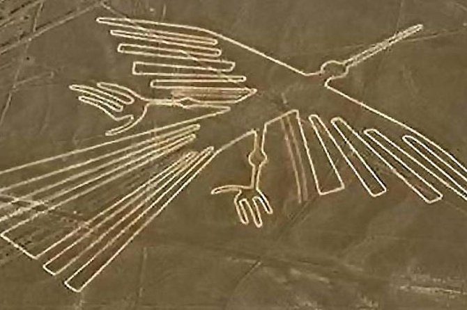 Flight Over the Nazca Lines from Pisco + Huacachina Oasis - Two famous sights, one demanding day