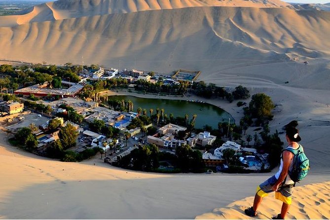 Flight Over the Nazca Lines from Pisco + Huacachina Oasis - Private transport, shared flight, and guide service