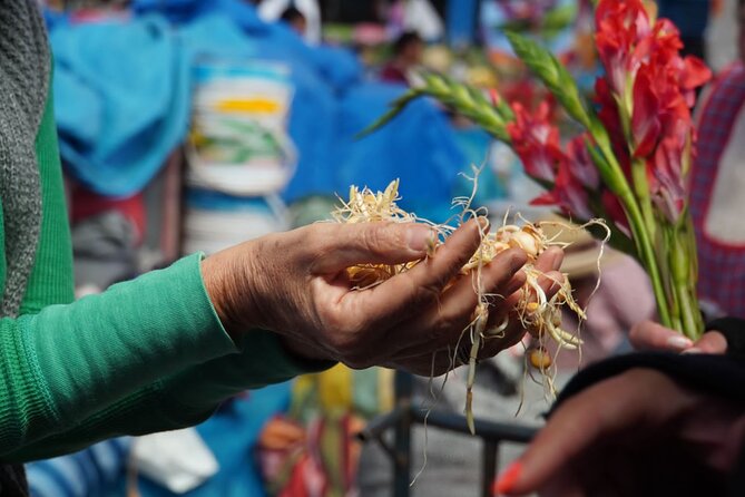 Food and Culture Full day Tour in the Sacred Valley - A Food Day That Reaches Beyond the Plate