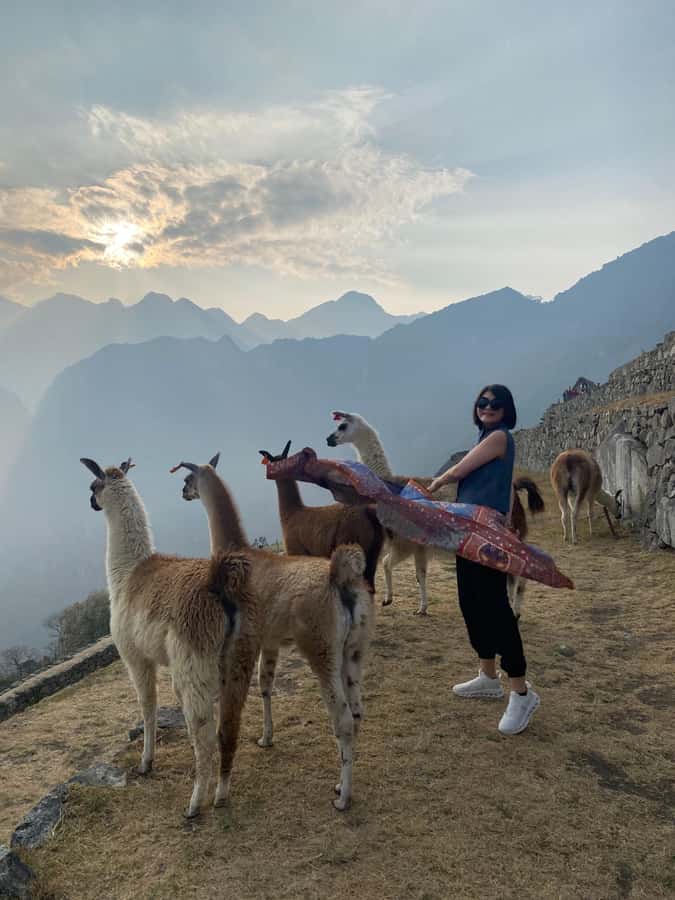 From Aguas Calientes: Machu Picchu guided tour with tickets - Starting in Aguas Calientes, the right base for this tour