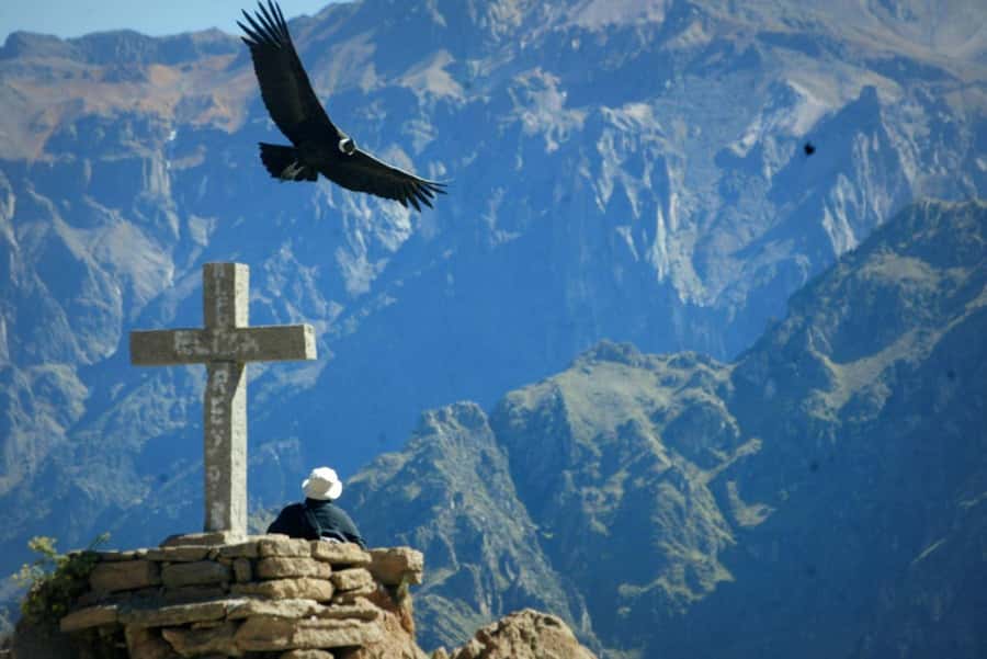 From Arequipa: 1 Day Tour to the Colca Canyon + Buffet lunch - Patapampa and the volcanoes at 4,910 meters
