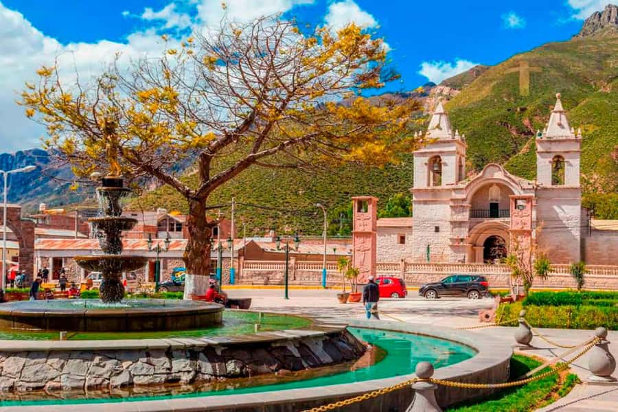 From Arequipa: 1 Day Tour to the Colca Canyon + Buffet lunch - Cruz del Cóndor and the Andean condor