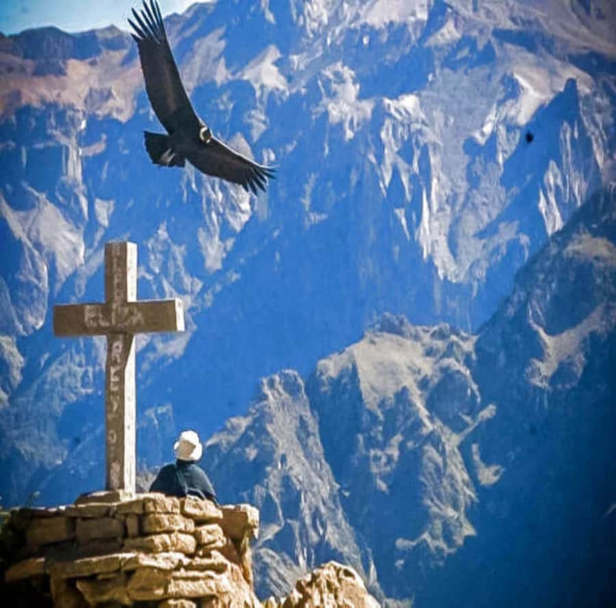 From Arequipa: 2-Day Colca Canyon Tour with Transfer to Puno - Why this two-day route makes sense