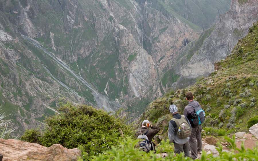 From Arequipa: 2-Day Colca Canyon Trekking Tour - Breakfast in Chivay and the Cruz del Cóndor