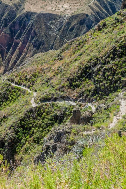 From Arequipa: 2-Day Colca Canyon Trekking Tour - What the $30 price really covers