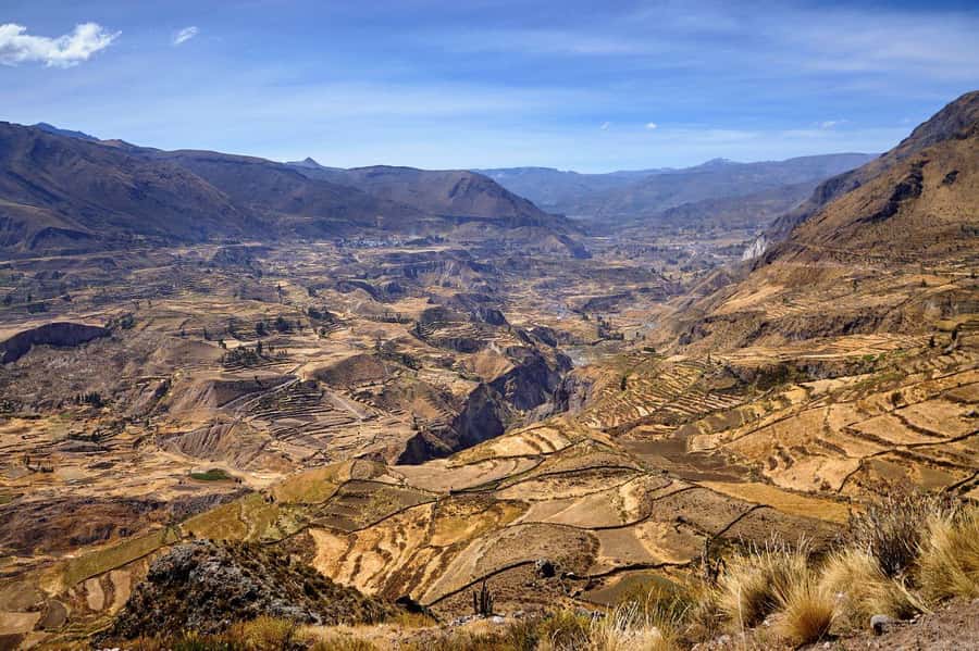 From Arequipa: Colca Canyon and Condor Watching Day Trip - Why this Colca Canyon trip is worth considering
