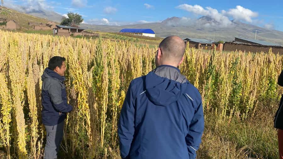 From Arequipa: Colca Canyon Day Trip with Transfer to Puno - Cruz del Cóndor and the canyon edge