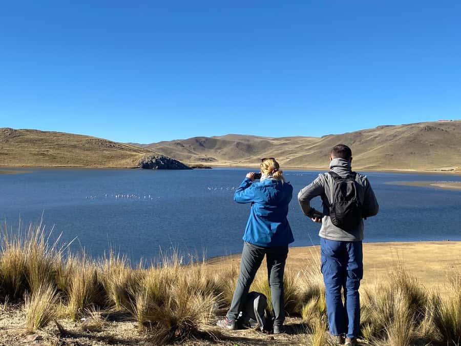 From Arequipa: Colca Canyon Day Trip with Transfer to Puno - The Colca River, Maca, and short local stops