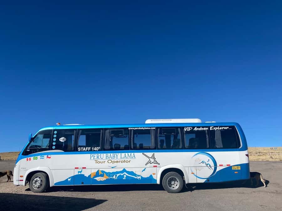 From Arequipa: Colca Canyon Day Trip with Transfer to Puno - Lunch in Chivay and the road toward Puno