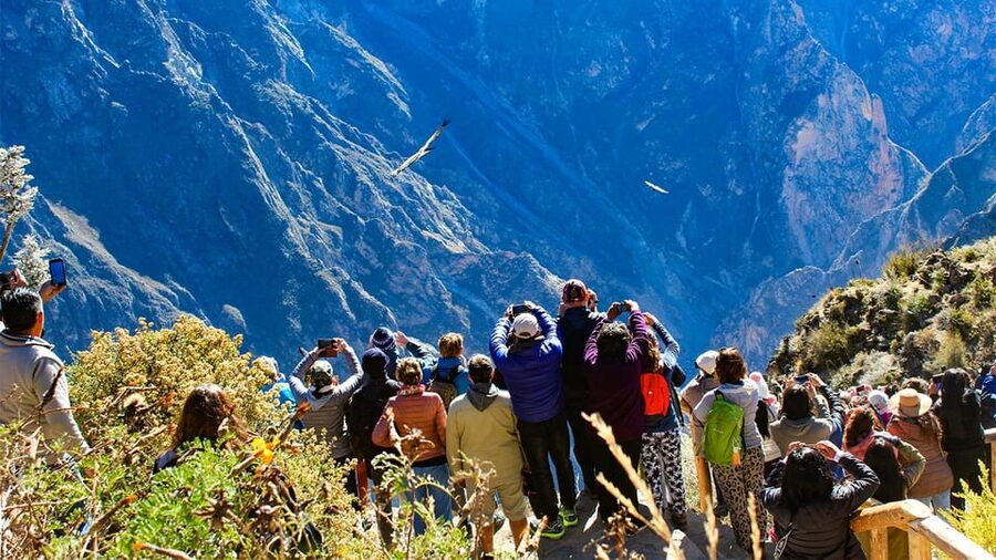 From Arequipa: Colca Canyon Day Trip with Transfer to Puno - Alto Lagunillas and the final hours on the road