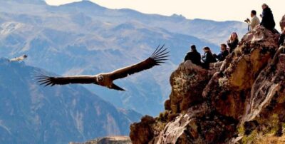 Colca Canyon Full-Day Tour with Breakfast