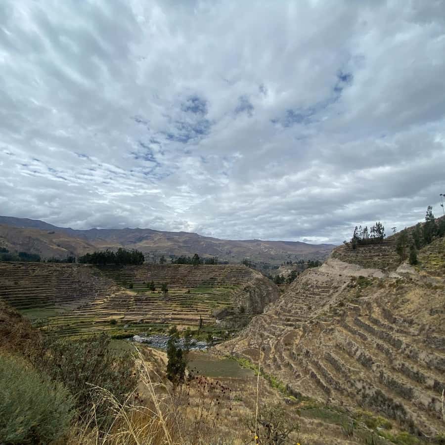 From Arequipa: Colca Canyon & La Calera Thermal Waters - Who should book this experience
