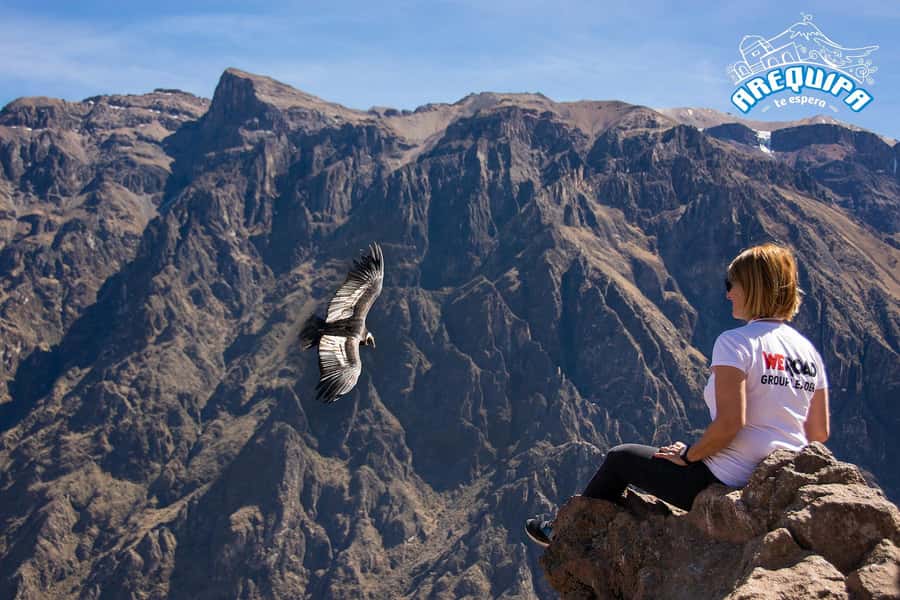 From Arequipa: Colca Valley & Thermal Baths Small-Group Trip - Key points to know before booking