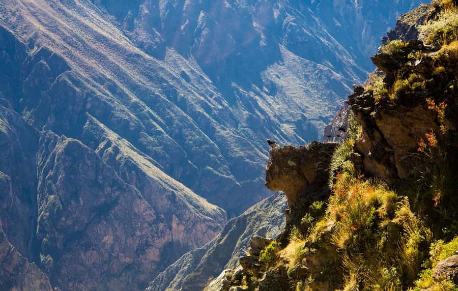 From Arequipa: Colca Valley & Thermal Baths Small-Group Trip - The 3:00 am start and the road to Chivay