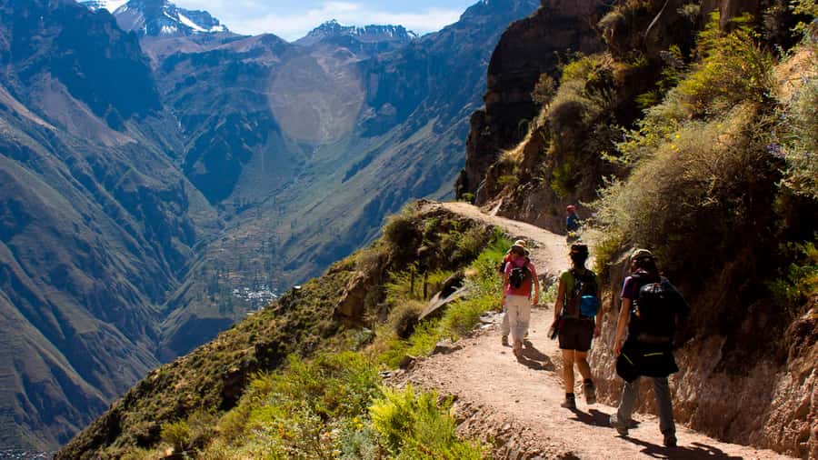 From Arequipa: Full Day Colca Canyon Tour - Key points to know before booking