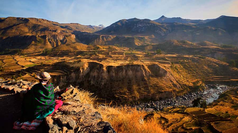 From Arequipa: Full Day Colca Canyon Tour - Why this Colca Canyon day trip works