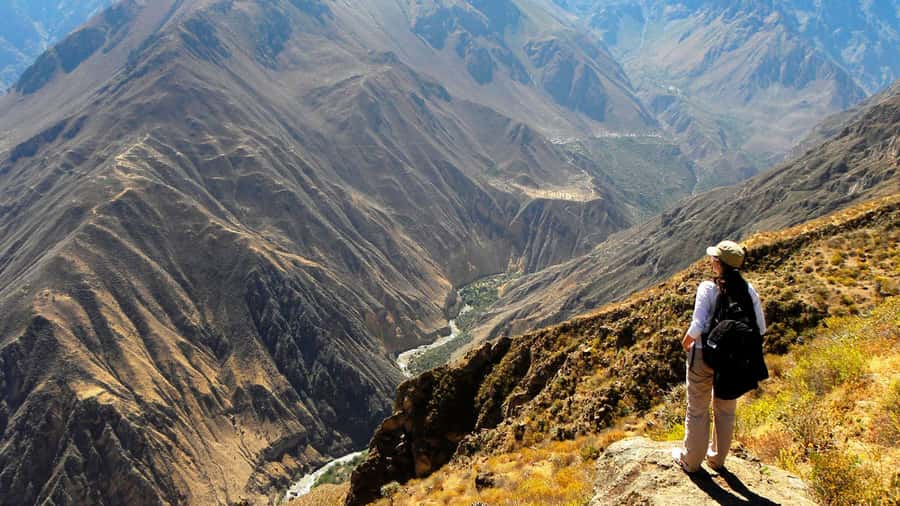 From Arequipa: Full Day Colca Canyon Tour - Vicuñas at Salinas and Aguada Blanca
