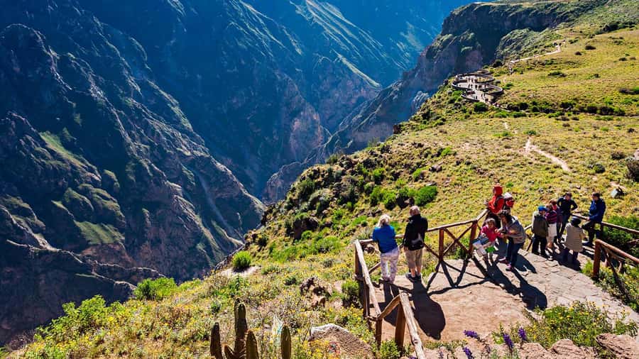 From Arequipa: Full Day Tour of Colca Canyon with Meals - Cruz del Cóndor and the first big view