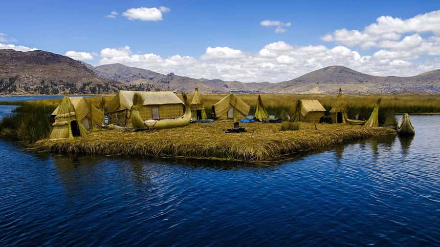 From Arequipa: Fullday Tour Colca Canyon + Transfer To Puno - A 4,910-meter pass and high Andean wildlife